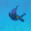 Zoggs ZOGGS ZOGGY DIVE STICKS ASSORTED 3