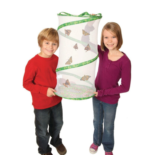 Insect Lore Giant Butterfly Garden Kit (Packaging May Vary) 2