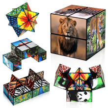 Euclidean Cube Infinity Cube Fidget Toy 2 in 1 Star Cube for Kids, Animal Toys for Ages 8-13, Travel Yoshimoto Cube for 6 7 8 9 10 11 Year Old Boy