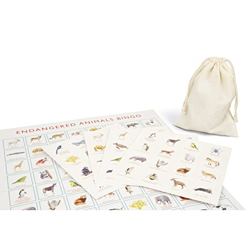 Endangered Animals Bingo: Learn About 64 Threatened Species That Need Our Help 2