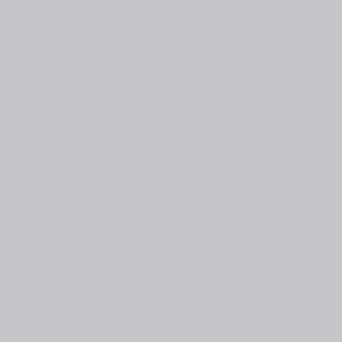 Vallejo Model Color 200 ml Acrylic Polyurethane Primer - Grey (Packaging may vary) 2