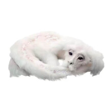 Falkor aus der unendlichen Geschichte Plüsch Puppen Tier Spielzeug Kinder Erwachsene Geschenke