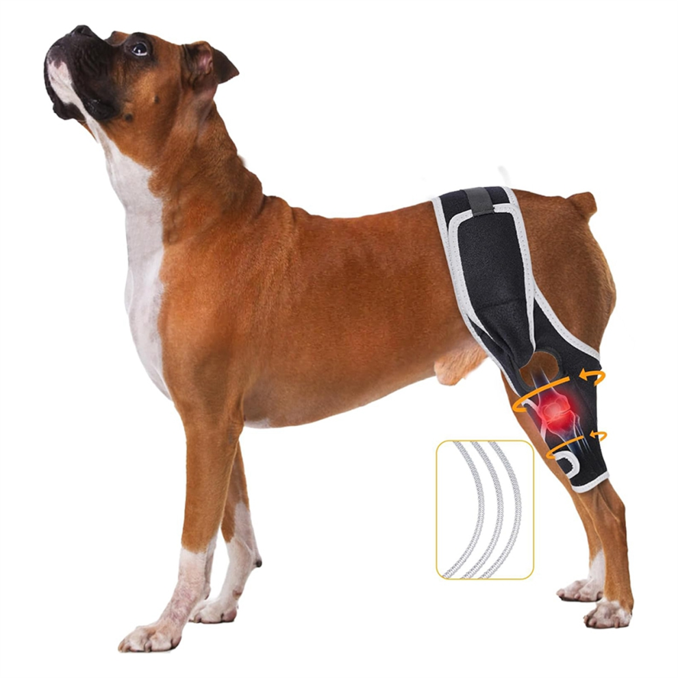 Dog Knee Brace for Acl and Ccl Injuries - Helps with Joint Pain, L