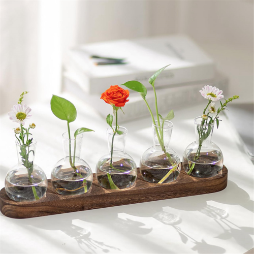 Σταθμός Πολλαπλασιασμού Φυτών Terrarium, Γυάλινο Βάζο με Λαμπτήρες 2