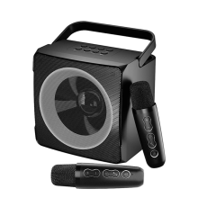 Family KTV Audio Dual Wireless Mikrofon Ein Außenlautsprecher, Schwarz
