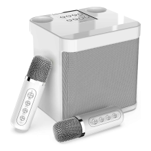 Tragbare Karaoke-Maschine mit 2 drahtlosen Mikrofonen
