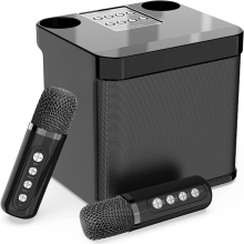 Familien-KTV-Audioset mit integriertem Dual-Wireless-Mikrofon