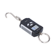 Waage mit 200 kg Tragkraft, schwere Last Hakenwaage, tragbares elektronisches Steelyard mit HD-Backlight (Silber Schwarz)