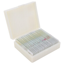 DW-25 25 pièces de lames animales pour l'éducation au microscope