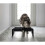 Doble comedero elevado para gato Tower negro 4