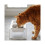 Diseño de comedero doble elevado para gato Tower blanco 6