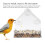 Clear Glass Window Bird Feeding Window Bird 12