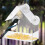 Clear Glass Window Bird Feeding Window Bird 9