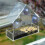 Clear Glass Window Bird Feeding Window Bird 6