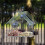 Clear Glass Window Bird Feeding Window Bird 10