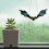 Window Panel Hanging Bat Suncatcher Wall Art 6