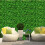 Preserved Decorative Moss Durable Natural 12