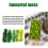 Preserved Decorative Moss Durable Natural 7