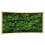 Preserved Decorative Moss Durable Natural 5
