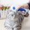 Flea Remove Combs for Cats Comb for Pets Electric 7