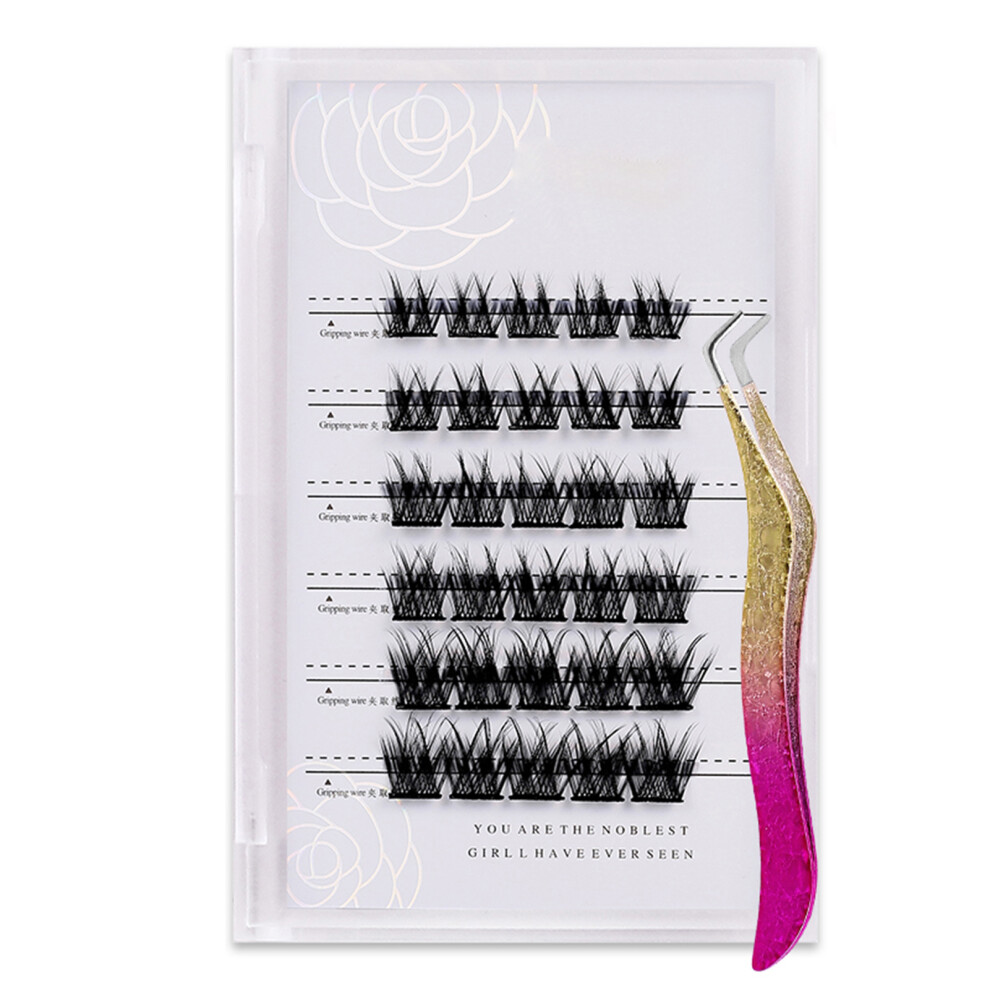 Z'LRAQI BEAUTY Individual False Eyelashes