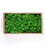 Preserved Decorative Moss Durable Natural 3