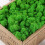 Preserved Decorative Moss Durable Natural 11