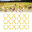 100PCS Chicken Ankle Rings Reusable Plastic Duck 11