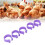 100 PCS Chicken Foot Ring Duck Hen Goose Legs 12