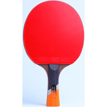 Table Tennis Bat Ping Pong Paddle with Carry Bag, Professional Offensive Paddle, Double Sided Rubber, Pure Wood Handle, Size A