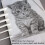 14PCS Blending Stumps Tortillions Kits Art 6