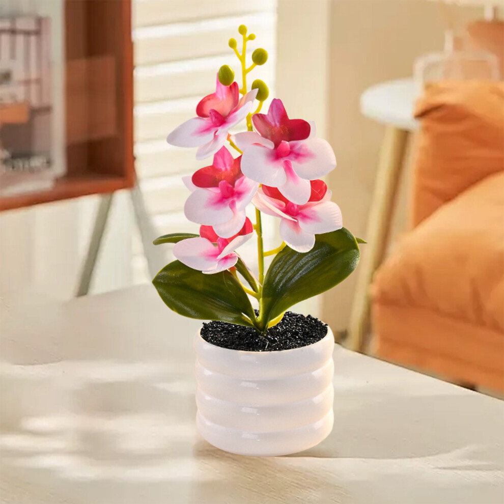 (C) Phalaenopsis Bonsai Plastic Potted Plant Simulated Silk Flower Lifelike Home Decoration Suitable For Desktop Office And Wedding Centerpiece Decora-image-OPC-PJTFN5W-NEW