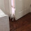 Pet Door Stopper Adjustable Door Strap Pet Gates 9