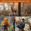 36pcs Reflective Trail Markers, High Visibility Trail Markers 6