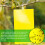 Yellow Sticky Traps Dual Sided Sticky Traps for 8