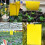 Yellow Sticky Traps Dual Sided Sticky Traps for 5