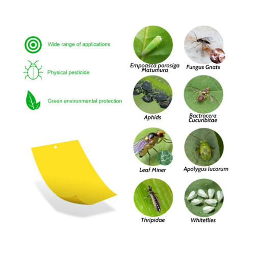 Yellow Sticky Traps Dual Sided Sticky Traps for 2
