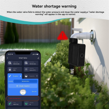 Tuya Smart Home WiFi Timed Irrigation Water Valve US Interface