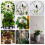 Vine Climbing Rack Iron Vegetables Plant Trellis 6