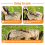 25 Pieces Copper Nails for Killing Tree Stump 2