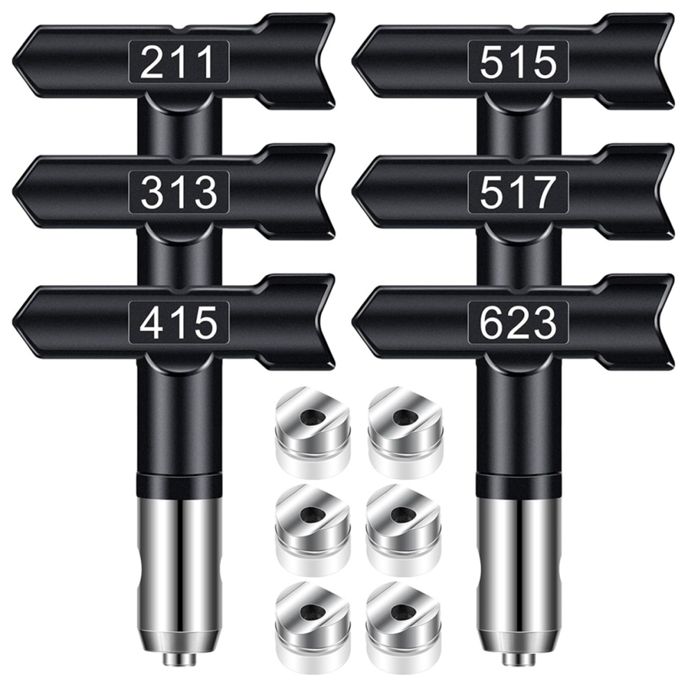 Sprayer Tips,6Pcs Airless Paint Sprayer Tips Reversible Sprayer Tips 4712869532634
