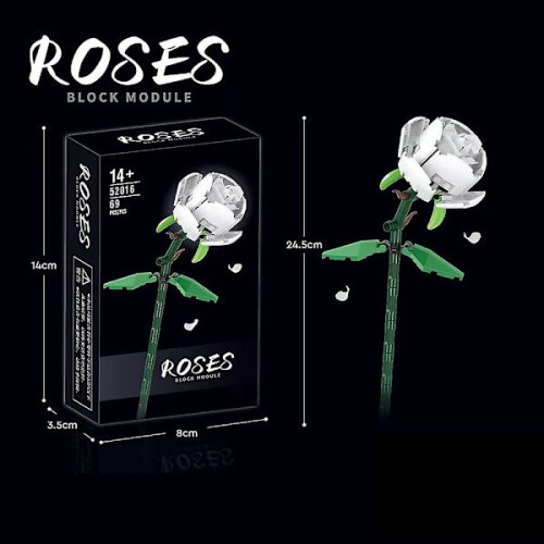 Bloc de construction de fleurs de rose Assemblage de fleurs Fleur immortelle blanche