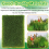 2PCS 58x85mm Miniature Weeds Cluster Hand-Torn Model 6