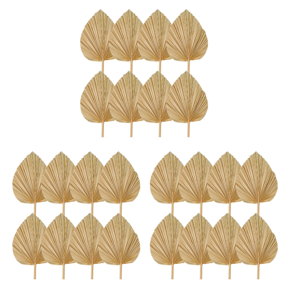 8PCS Dried Palm Leaves Decorations Trimmed Spear Fans-image-OPC-PJTK29Z-NEW