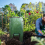 Fermentatie Afsluitbare Compost Emmer Tuinblad Afvalzak 5