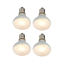 2 Pack Reptile Uvb Uva Heat Lamp Bulb For Reptiles (100 W)