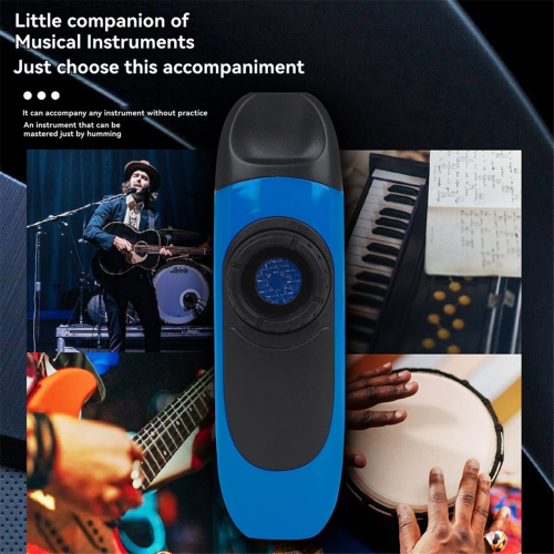 Kazoo Fluit Mondharmonica Gitaarbegeleiding Elektronisch 2