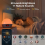 Sunrise Alarm Clock Bluetooth Speaker for Bedroom 7