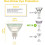 Simusi MR16 Halogen Light Bulbs, 12 Pack 12V 50W Spotlight Bulb 5