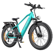 Elektrische Fiets ENGWE E26 - Accu 48V 16Ah - Motor 250W - Shimano 7 Versnellingen - Bereik 140km Groen
